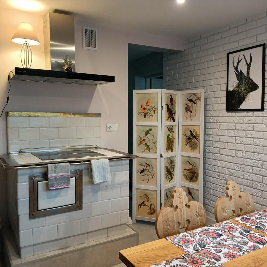Lodowy Dom Apartment Zakopane