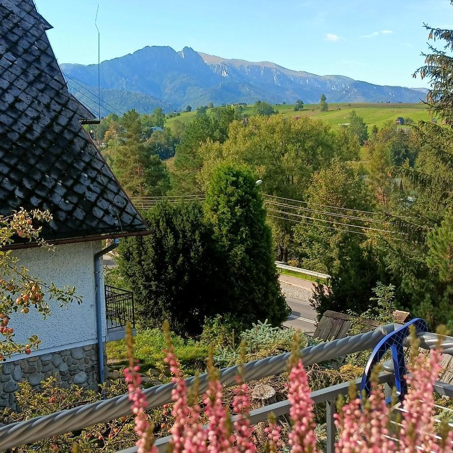 Apartment Lodowy Dom Zakopane